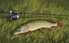 Luccio pescato sull'erba con canna da pesca, attrezzatura pesca sportiva